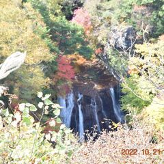 メールしませんか - メンバー募集