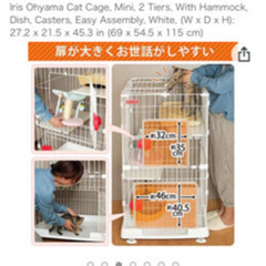 アイリスオ-ヤマ　キャットケ-ジ　の画像
