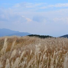 岩湧山　公開ハイキング