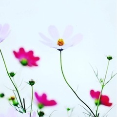 上げていこう🍀その気持ち✨ - その他