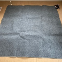 (引取済)電気カーペットとカーペットのセット