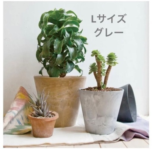 アートストーン　Ｌ　グレー　（ソーサー付き）