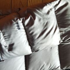 ノースフェイスダウンジャケット　シルバー　サイズMの画像