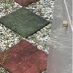 【無料】敷石