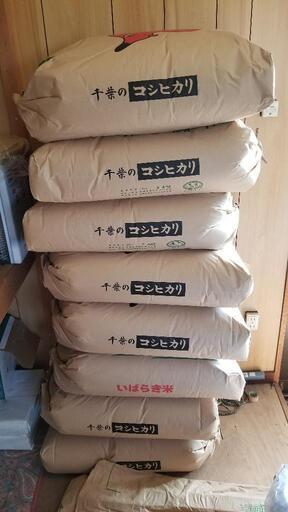 茨城県産コシヒカリ30kg
