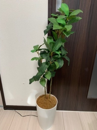 観葉植物　フェイクグリーン