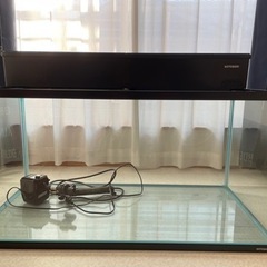 静岡県の90cm水槽の中古が安い！激安で譲ります・無料であげます