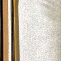 Fujigenのギター（NCTL-20R/ASH）の画像