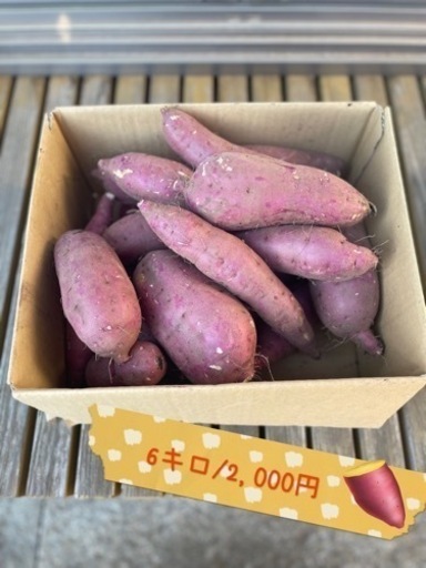 02紅はるか18キロ