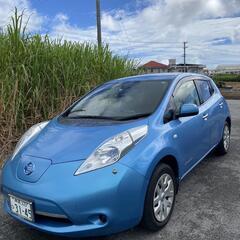 日産リーフ17000キロ