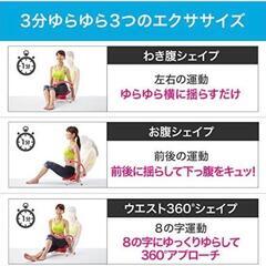 【美品】ショップジャパン ながらウォーク