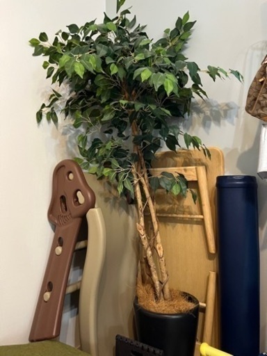 フェイク観葉植物再投稿　取引先決定致しました