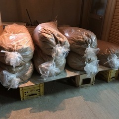 今年収穫、ヒノヒカリの籾殻③