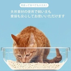 one step おからの猫砂 6L 5袋　真空包装の画像