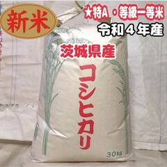 【全国配送】★新米！農家直送！令和4年 茨城県産 コシヒカリ 特...