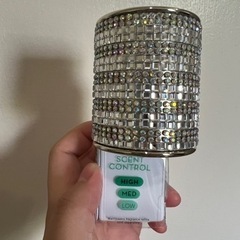 bath and body works キラキラ✨(説明文必読)