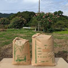 令和4年産きぬむすめ、ヒノヒカリ玄米