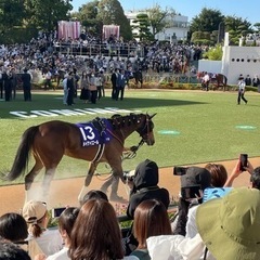 ギャンブル一切しない！競走馬好きのお友達募集