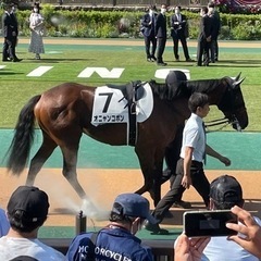 ギャンブル一切しない！競走馬好きのお友達募集 - メンバー募集