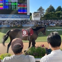 ギャンブル一切しない！競走馬好きのお友達募集 - 友達