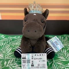 ギャンブル一切しない！競走馬好きのお友達募集 − 東京都