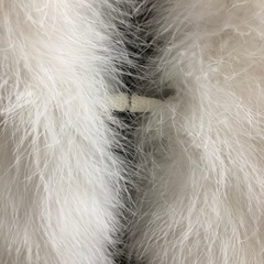 ショールの画像