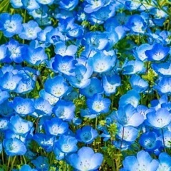 一緒に遊べる友達、カフェなどでゆっくりお話ししませんか？