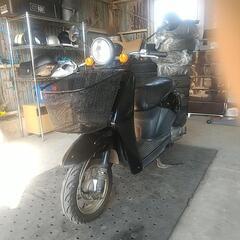トゥデイ af61