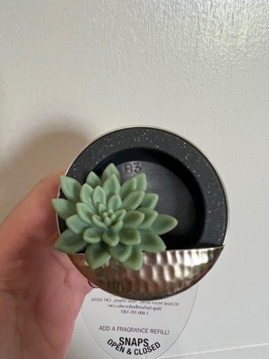 bath and body works 車のバインザーに挟む物②