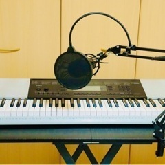 CASIO CTK-4200 電子キーボード ピアノ初心者 動作...