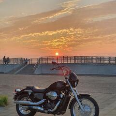 HONDA VT400s 希少/低走行/東京/車検1y以上あり/...