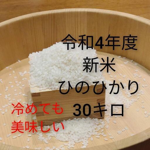 【SS0874さま専用】令和4年度　新米　一等米　ひのひかり　10キロ　②