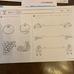 右脳教育　しちだ式　ちえ、もじ、かずの画像