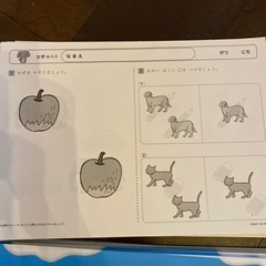 右脳教育　しちだ式　ちえ、もじ、かずの画像