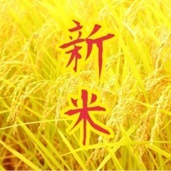 まあくん様　★金賞受賞★ 令和4度年新米　60kg    ＼＼減農薬／／