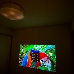 2022/10購入:popIn Aladdin 2 Plusの画像