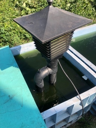 ゼンスイ　昭和1型　　池用