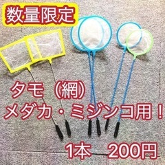 【数量限定】タモ　網　フィッシュネット　（メダカ　めだか　ミジン...