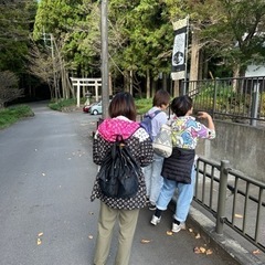 女神式占いします❣️場所は連絡下さった方に連絡します🍀