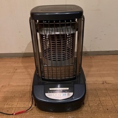 バナナTV～10本セット