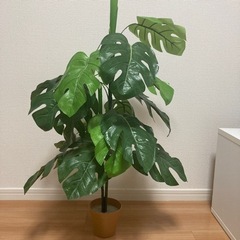取引きまりました。観葉植物　フェイク