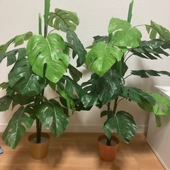 取引きまりました。観葉植物　フェイクの画像