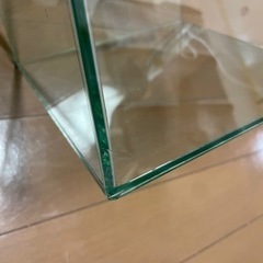 20㎝CUBE水槽の画像