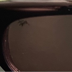 🔆stussy michael サングラス🔆最終値下げ‼️の画像