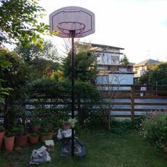 取引決定 終了  バスケットゴール