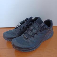 SALOMON SENSE RIDE GORE-TEX