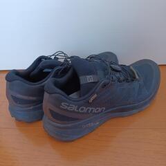 SALOMON SENSE RIDE GORE-TEXの画像