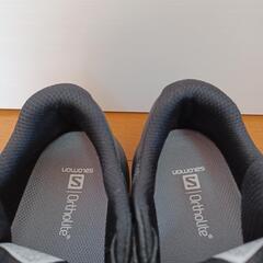 SALOMON SENSE RIDE GORE-TEXの画像