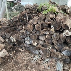 終了しました　　薪　　積み放題