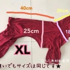 イタリアングレーハウンドの服の画像